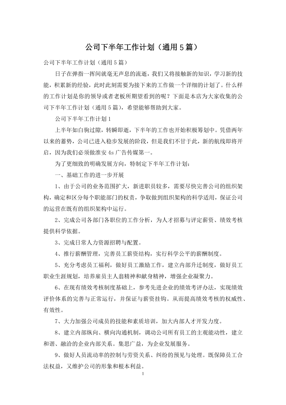 公司下半年工作计划(通用5篇).docx_第1页