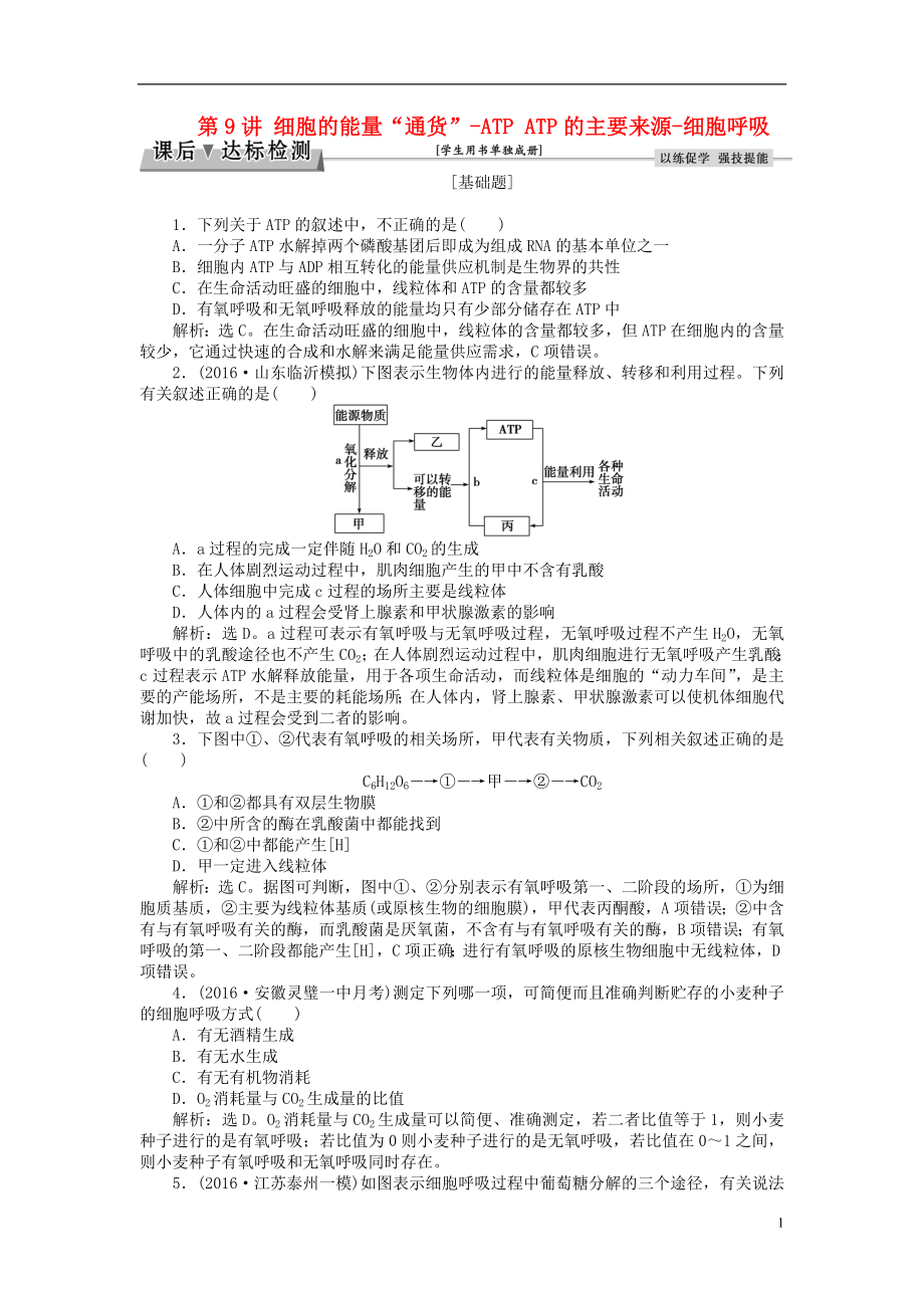 优化方案2017版高考生物大一轮复习第三单元细胞的能量供应和利用第9讲细胞的能量“通货”_ATPATP的主要来源_细胞呼吸课后达标检测.doc_第1页