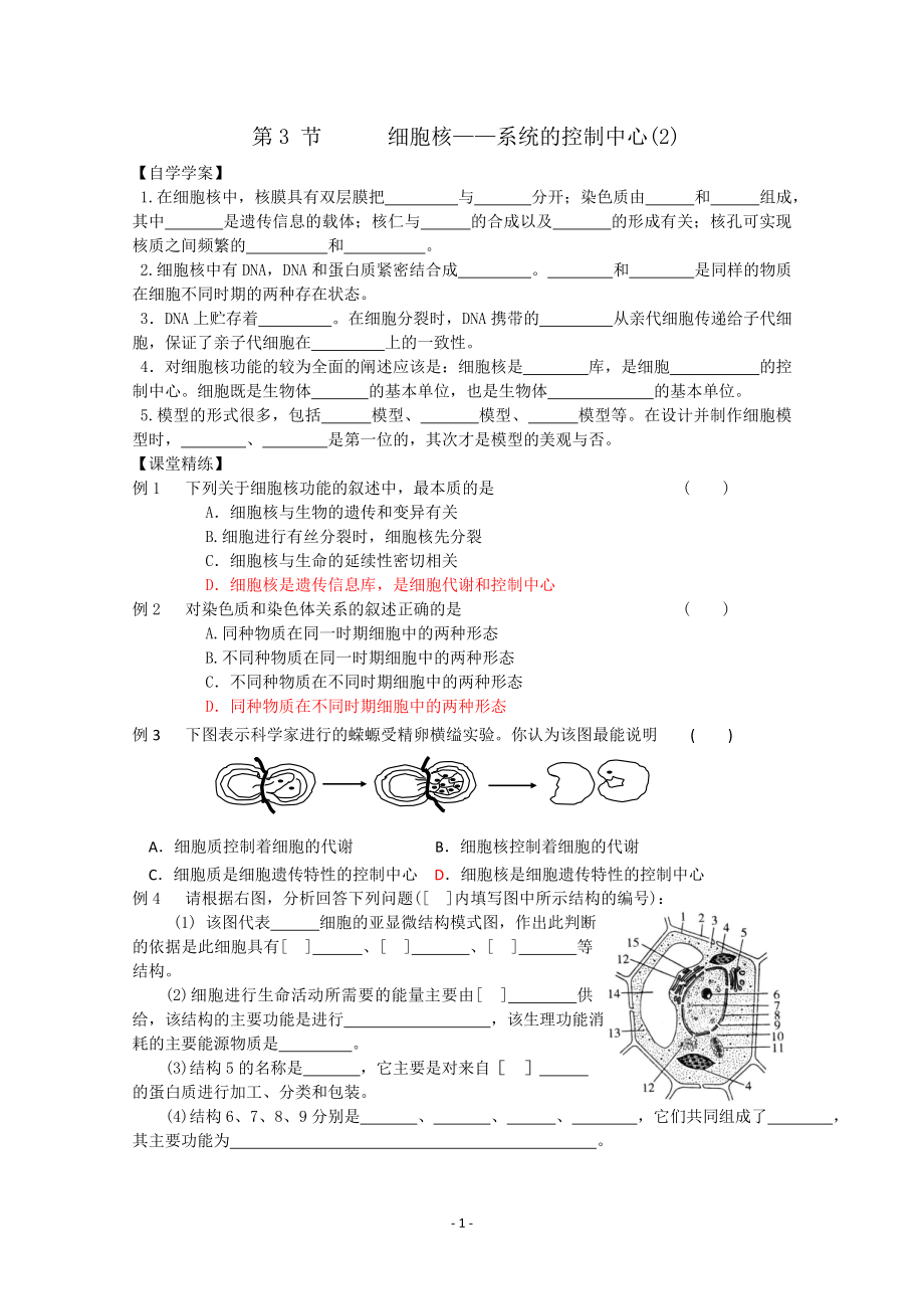 【高中生物】生物同步学案：3.3《细胞核——系统的控制中心》(2)(新人教版必修1).doc_第1页