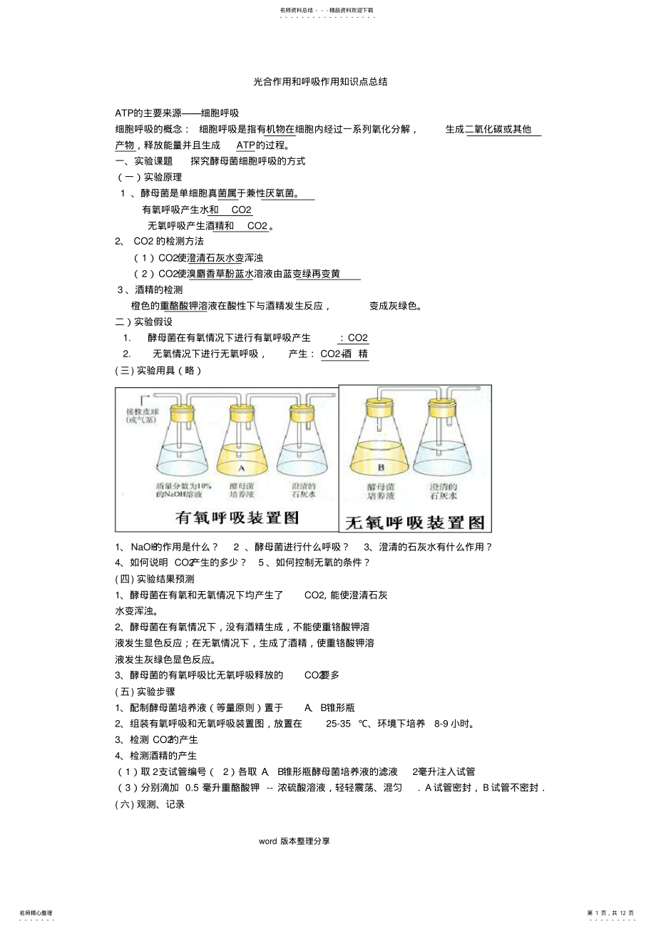 2022年2022年光合作用和呼吸作用知识点总结 .pdf_第1页