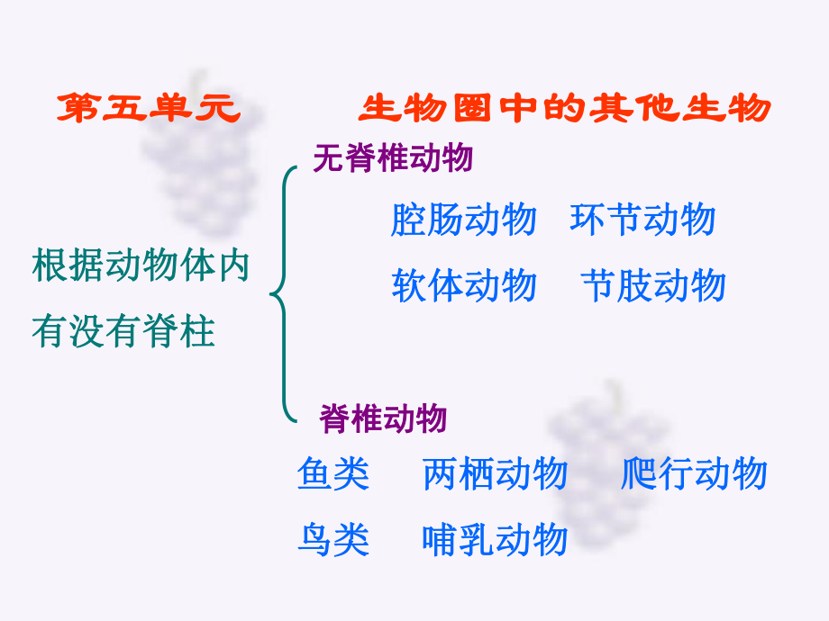 八年级上册生物ppt课件人教版.pptx_第2页