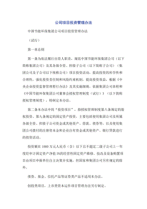 公司项目投资管理办法.docx