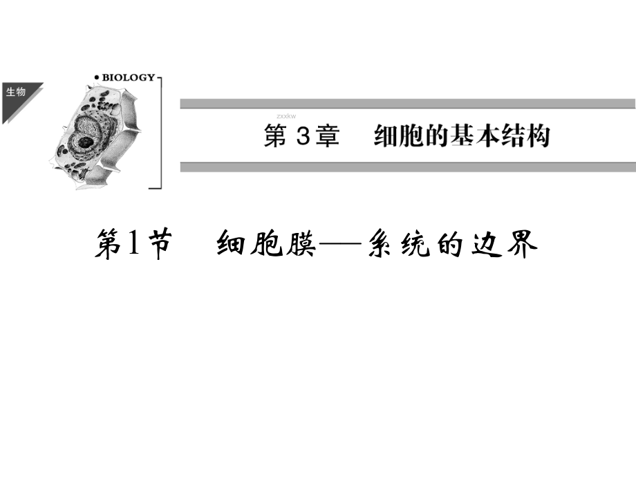 细胞膜_系统的边界.ppt_第1页