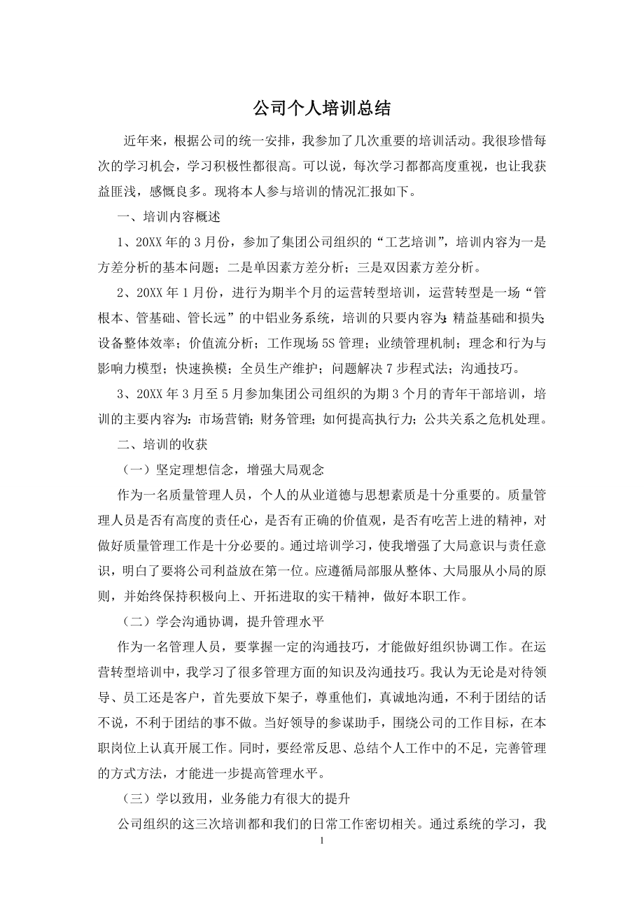 公司个人培训总结.docx_第1页