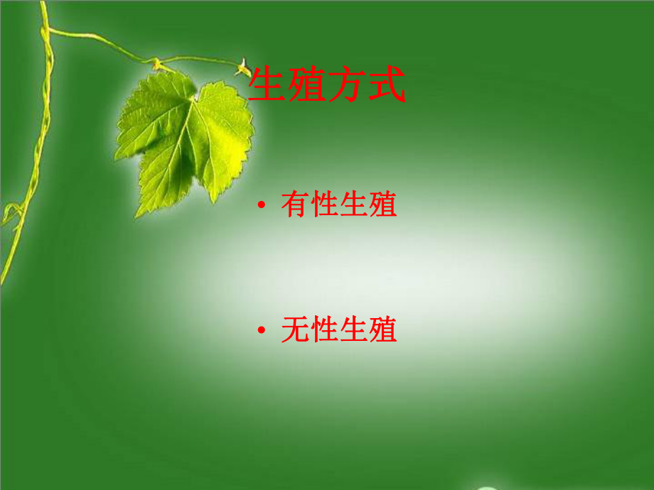 课件《绿色开花植物的生殖》.ppt_第2页