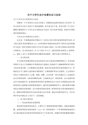 关于大学生会计电算化实习总结.docx