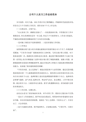 公司个人实习工作总结范本.docx