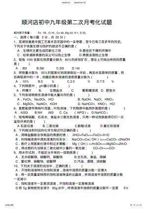 2022年2022年九年级化学中考模拟考试题 .pdf