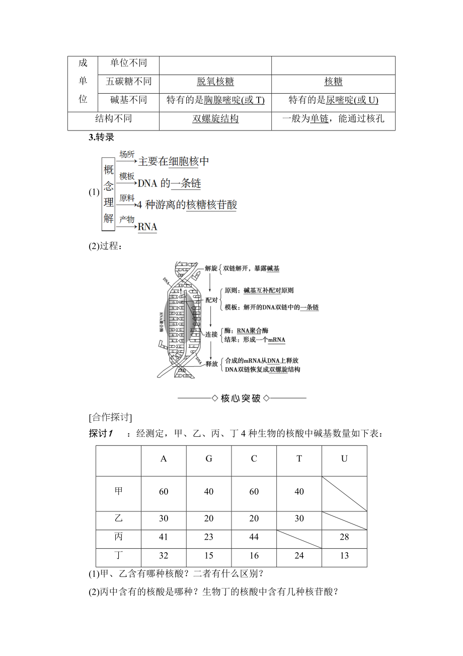 【高中生物】高中生物(人教版)必修2同步教师用书：第4章-第1节-基因指导蛋白质的合成.doc_第2页