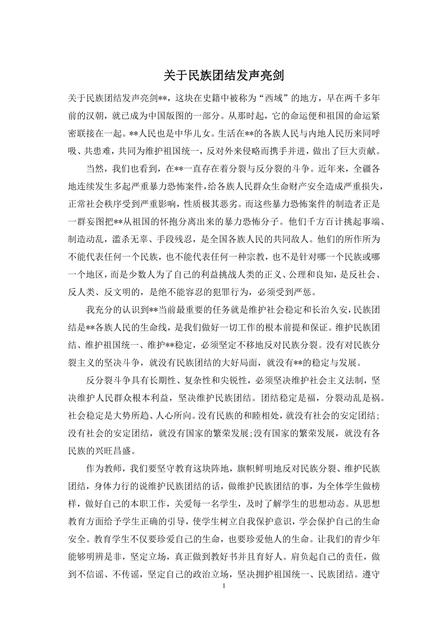 关于民族团结发声亮剑.docx_第1页