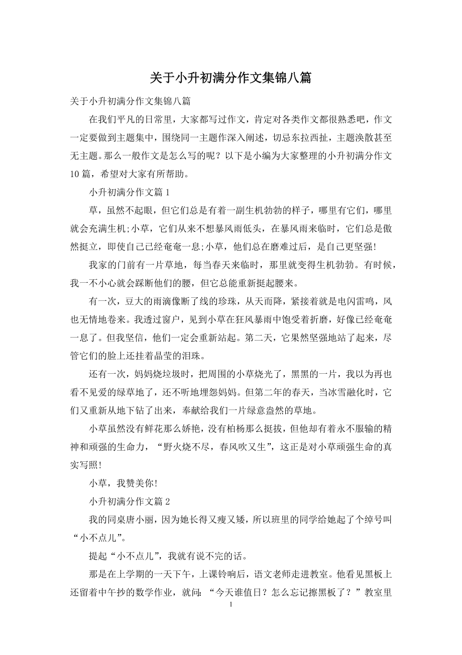 关于小升初满分作文集锦八篇.docx_第1页