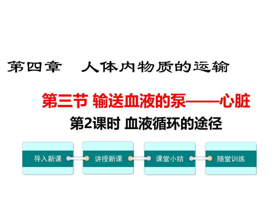 人教版生物七下第四章第三节第2课时-血液循环的途径ppt课件.ppt_第1页