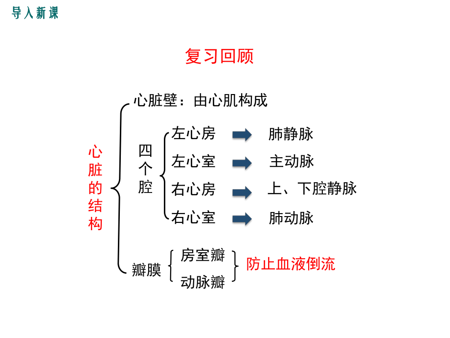 人教版生物七下第四章第三节第2课时-血液循环的途径ppt课件.ppt_第2页