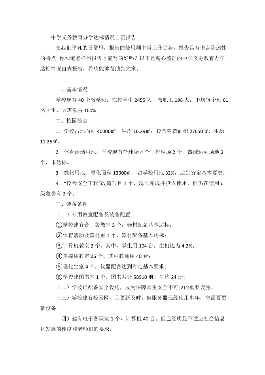 中学义务教育办学达标情况自查报告.doc_第2页