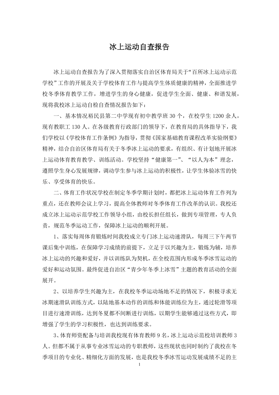 冰上运动自查报告.docx_第1页