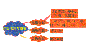 二年级下册数学第一单元数据收集与整理复习ppt课件.pptx