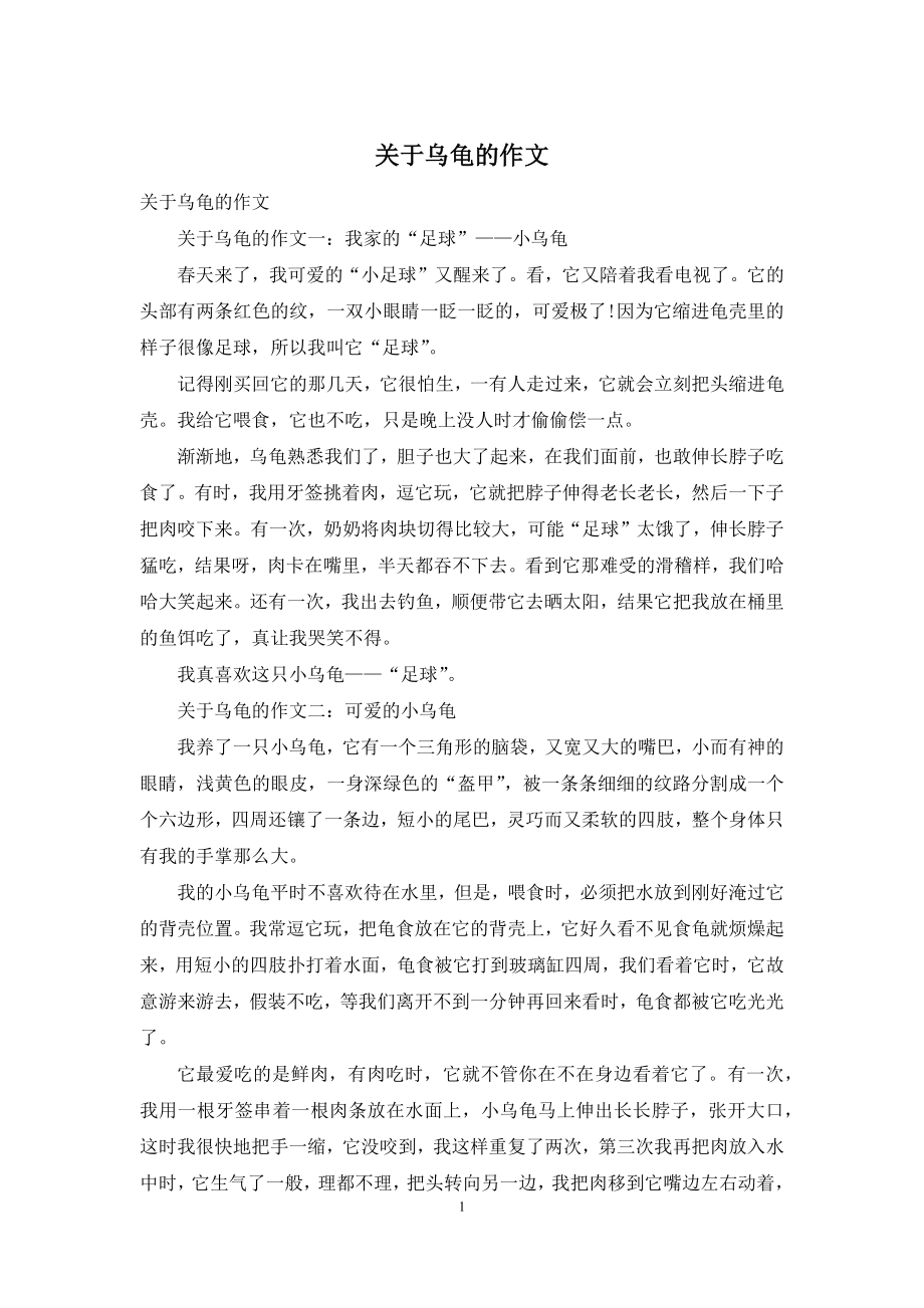 关于乌龟的作文.docx_第1页