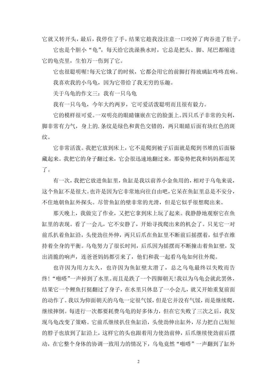 关于乌龟的作文.docx_第2页