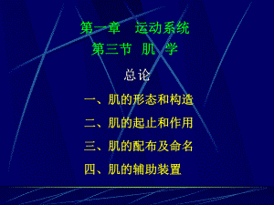 人体解剖学课程-运动系统-骨骼肌ppt课件.ppt