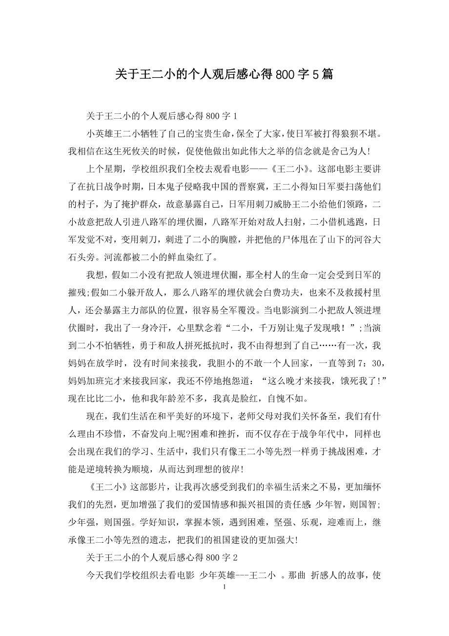 关于王二小的个人观后感心得800字5篇.docx_第1页