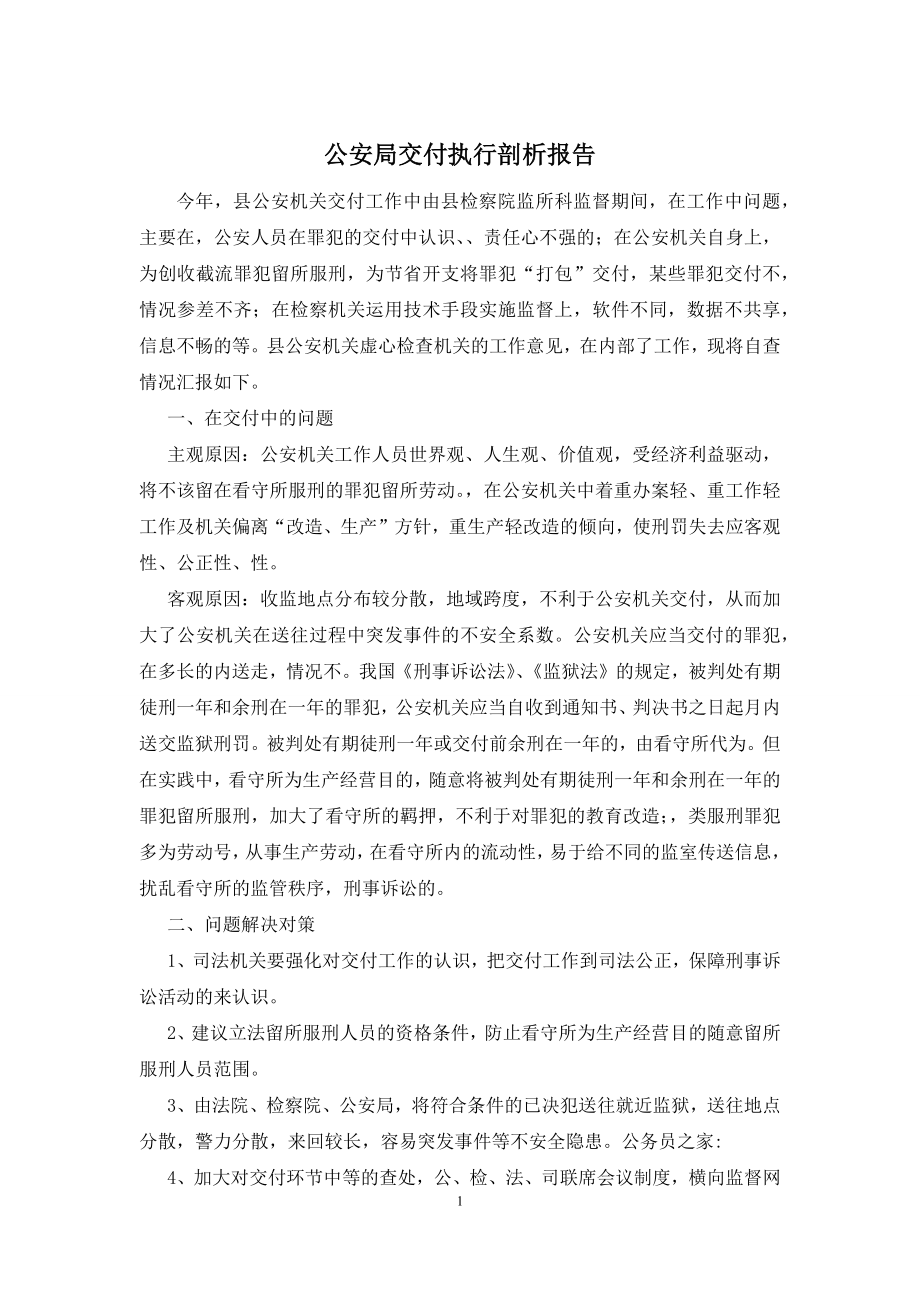 公安局交付执行剖析报告.docx_第1页