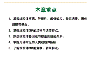 医学遗传学南方医科大学线粒体遗传病ppt课件.pptx