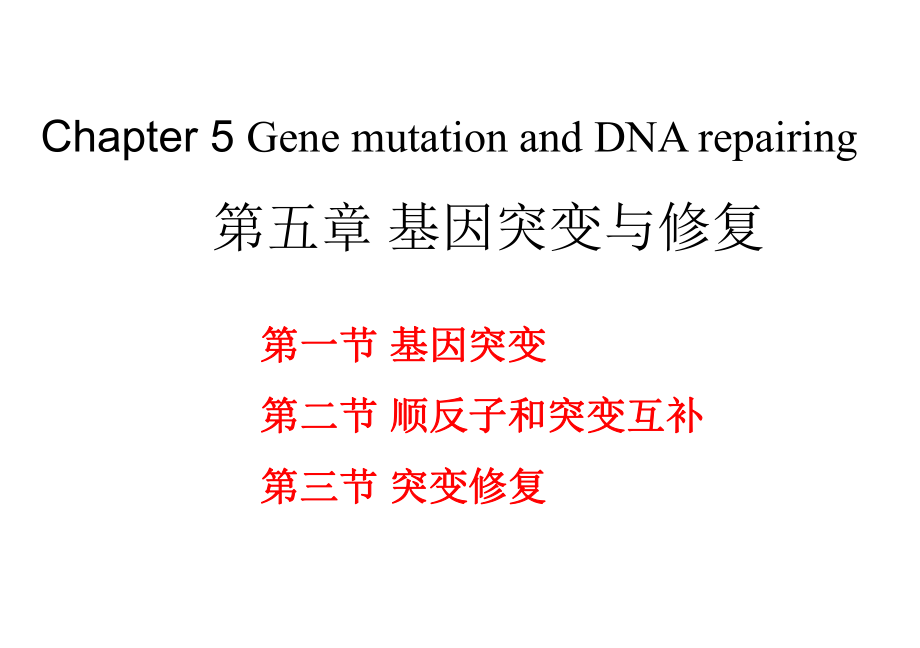 分子生物学第五章基因突变和修复ppt课件.ppt_第1页