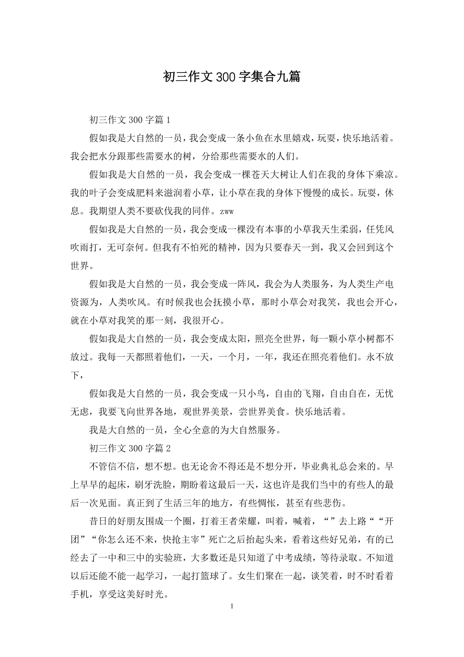 初三作文300字集合九篇.docx_第1页