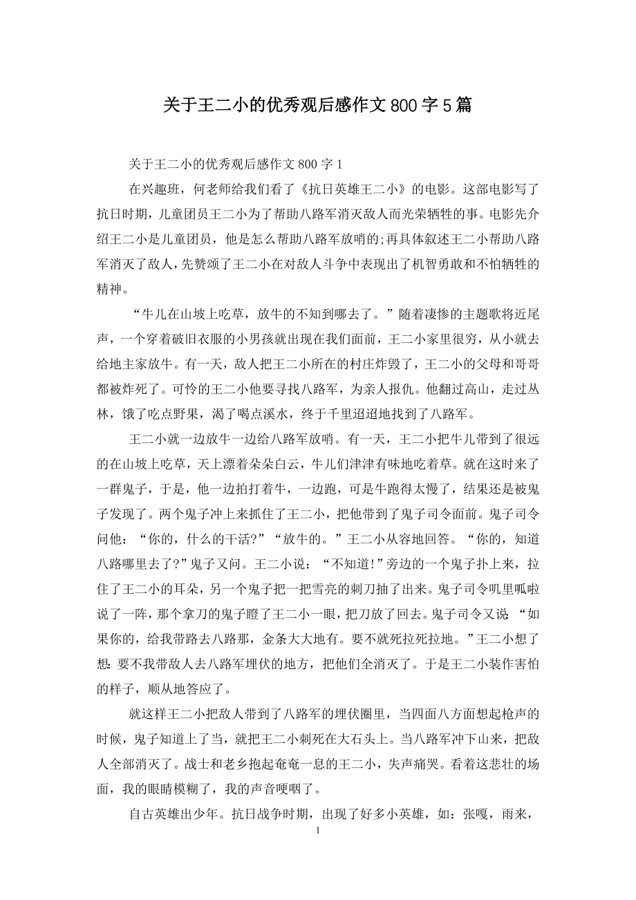 关于王二小的优秀观后感作文800字5篇.doc_第1页