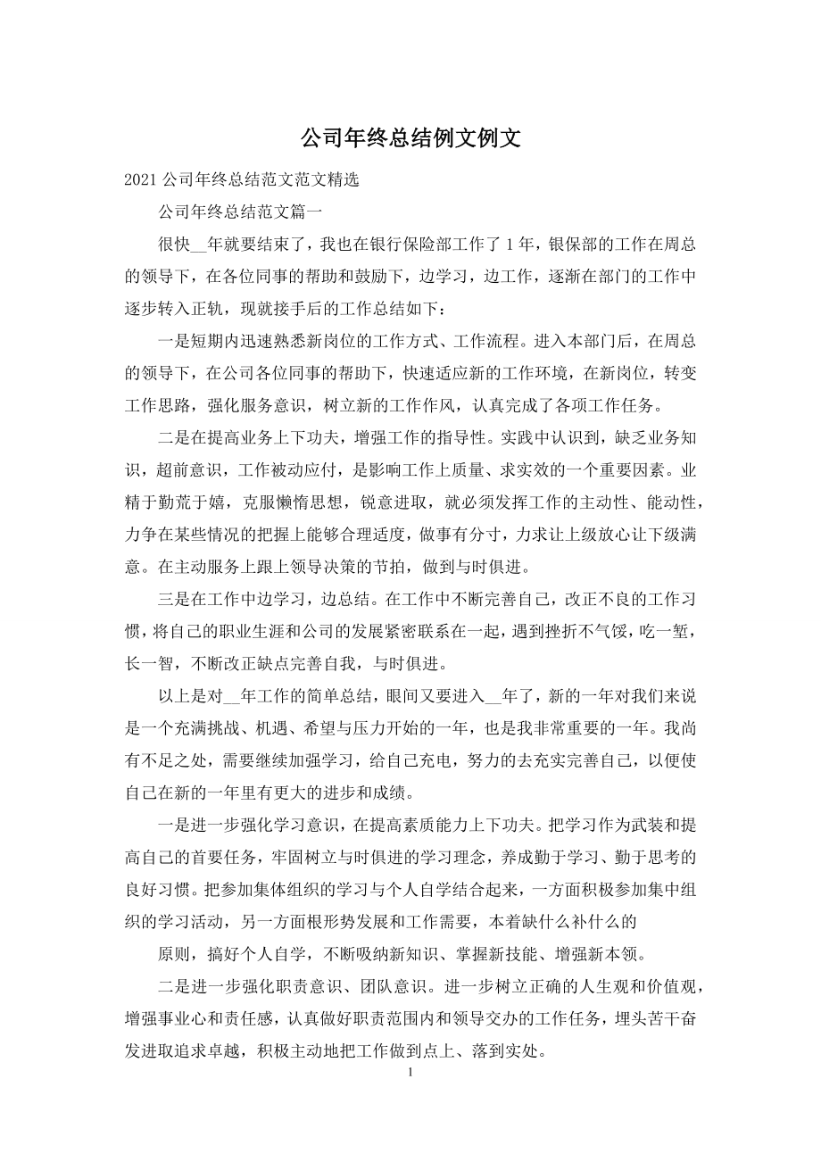 公司年终总结例文例文.docx_第1页