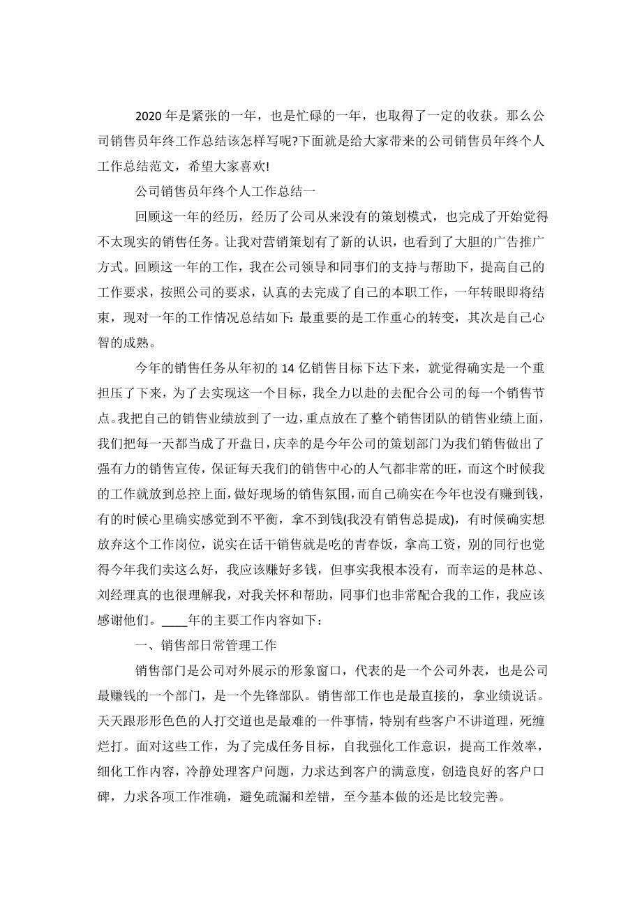 公司销售员年终个人工作总结范文.doc_第2页