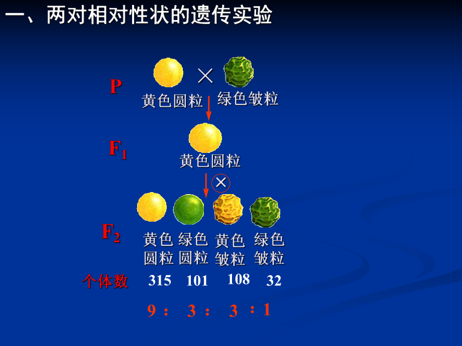 新课标人教版高中生物必修2：-孟德尔的豌豆杂交实验ppt课件.ppt_第1页