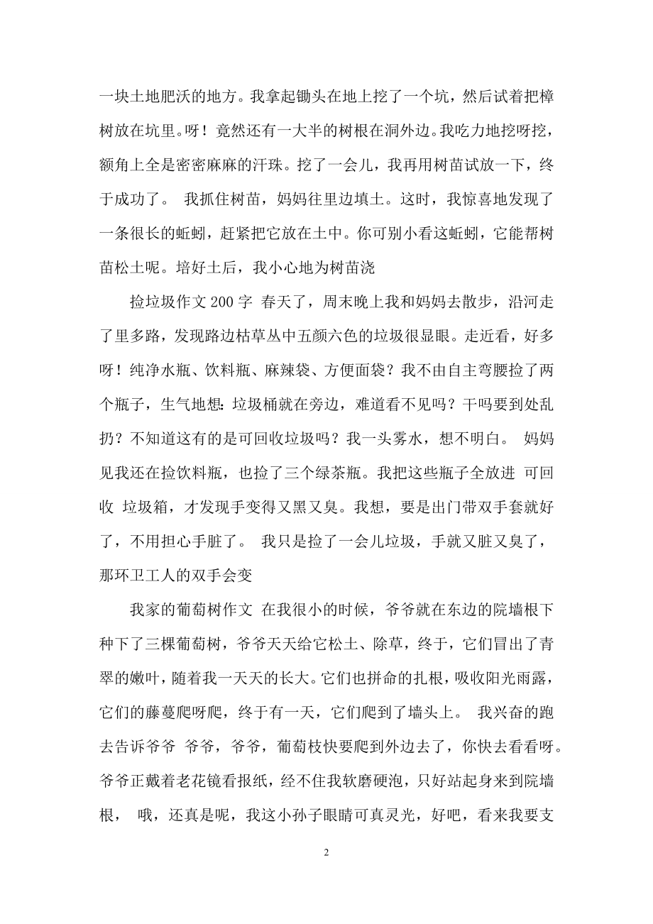 可爱的绿萝作文200字.docx_第2页