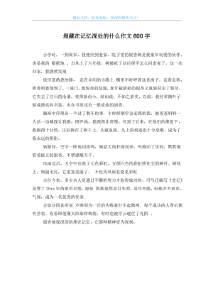 埋藏在记忆深处的什么作文600字.doc