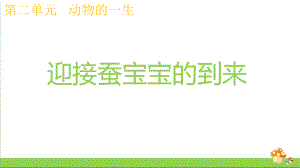 新教科版三年级下科学2.1迎接蚕宝宝的到来ppt课件.pptx