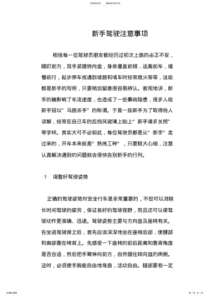 2022年新手驾驶注意事项 .pdf