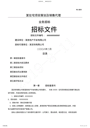 2022年房地产策略及营销代理招标文件 .pdf