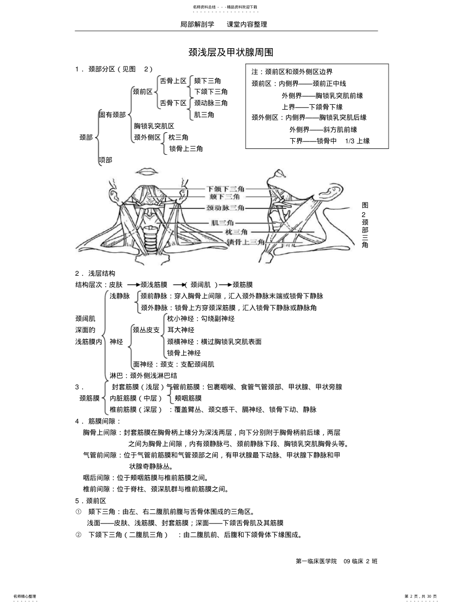 局部解剖学课堂内容整理 .pdf_第2页