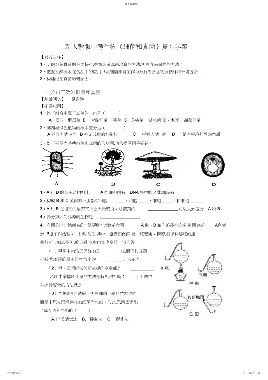 2022年新人教版中考生物《细菌和真菌》复习学案.docx_第1页