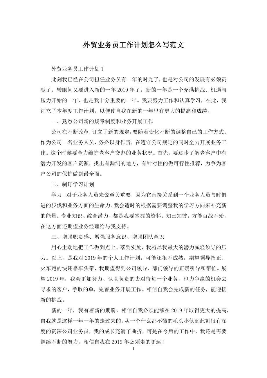 外贸业务员工作计划怎么写范文.docx_第1页