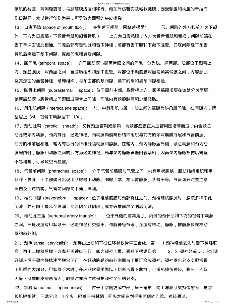 2022年2022年局部解剖学名词解释 .pdf_第2页