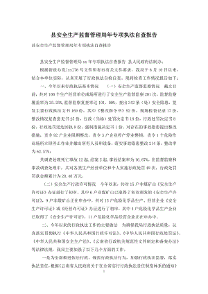 县安全生产监督管理局年专项执法自查报告.docx