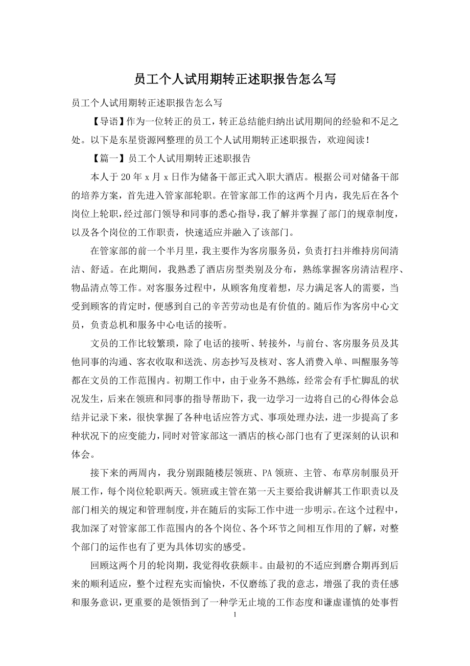 员工个人试用期转正述职报告怎么写.docx_第1页