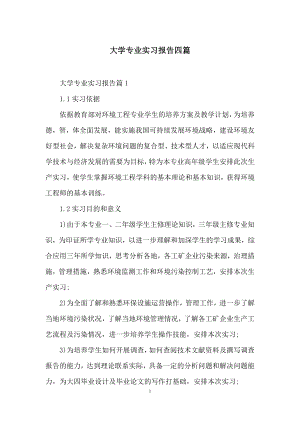 大学专业实习报告四篇.docx