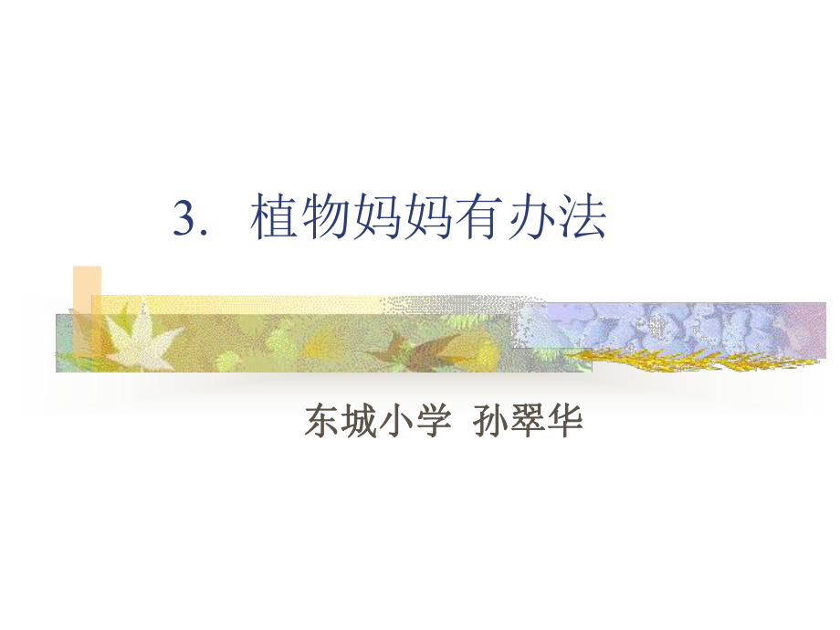 3植物妈妈有办法.ppt_第1页