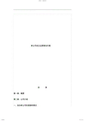 2022年新公司成立运营策划方案 .pdf