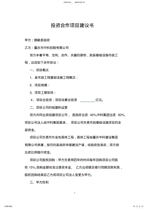 2022年投资合作项目建议书 .pdf