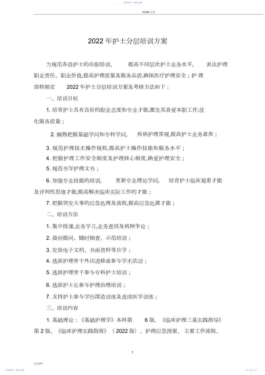 2022年护士分层培训计划.docx_第1页