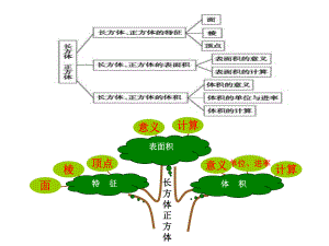 《长方体和正方体》知识树.ppt