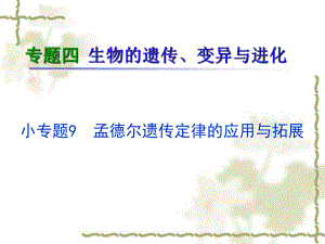 高考生物二轮总复习ppt课件专题小专题孟德尔遗传定律的应用与拓展人教.ppt